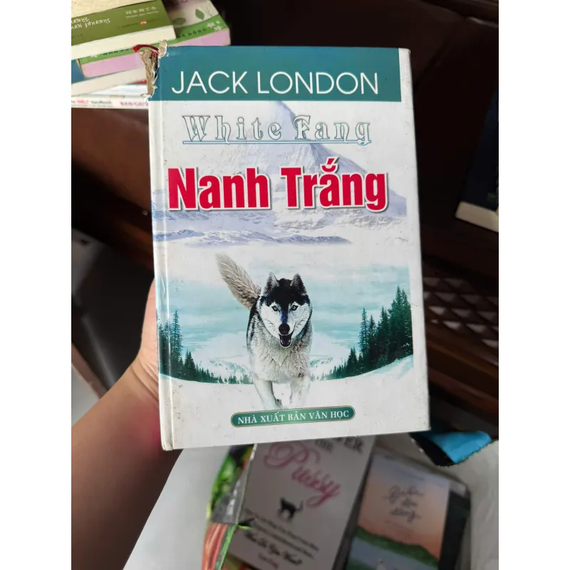 NANH TRẮNG (WHITE FANG) – JACK LONDON | TIỂU THUYẾT KINH ĐIỂN VỀ LOÀI SÓI & SINH TỒN - K3 1010960