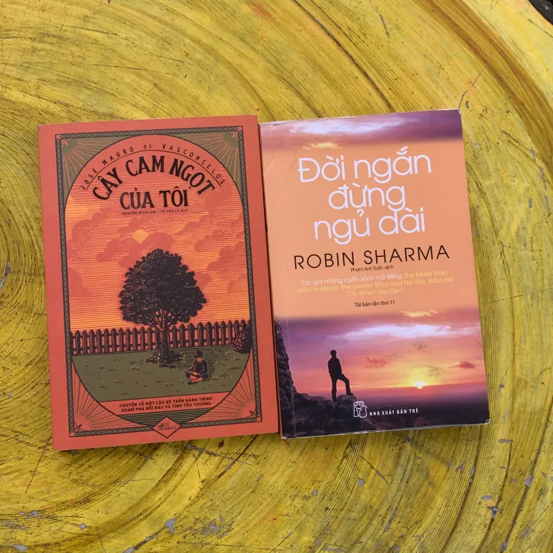 COMBO ĐỜI NGẮN ĐỪNG NGỦ DÀI & CÂY CAM NGỌT CỦA TÔI  789836