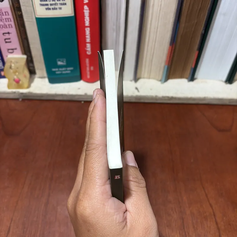 II Sách Lịch Sử: Viết Về Điện Biên Phủ - Thép Mới - 2024 722793