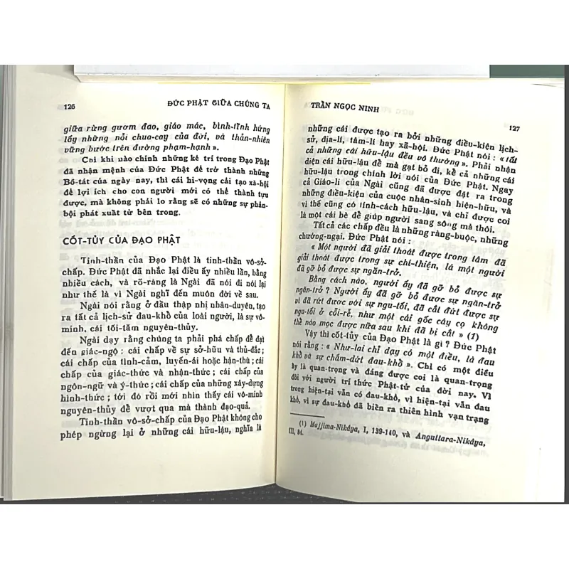 ĐỨC PHẬT GIỮA CHÚNG TA - TRẦN NGỌC NINH 1022037