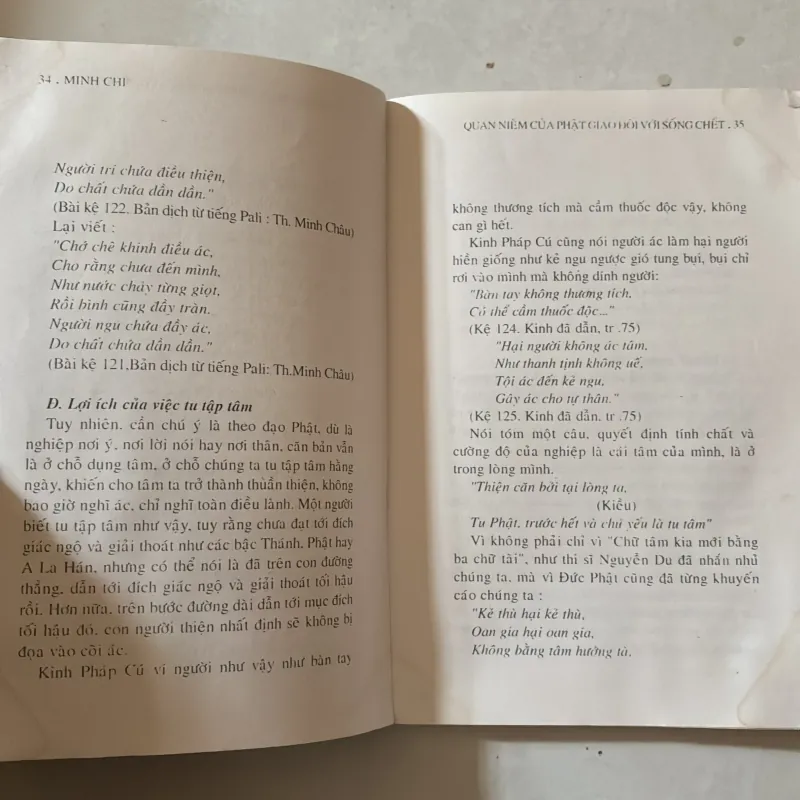 Quan niệm của Phật giáo đối với sống chết 997331