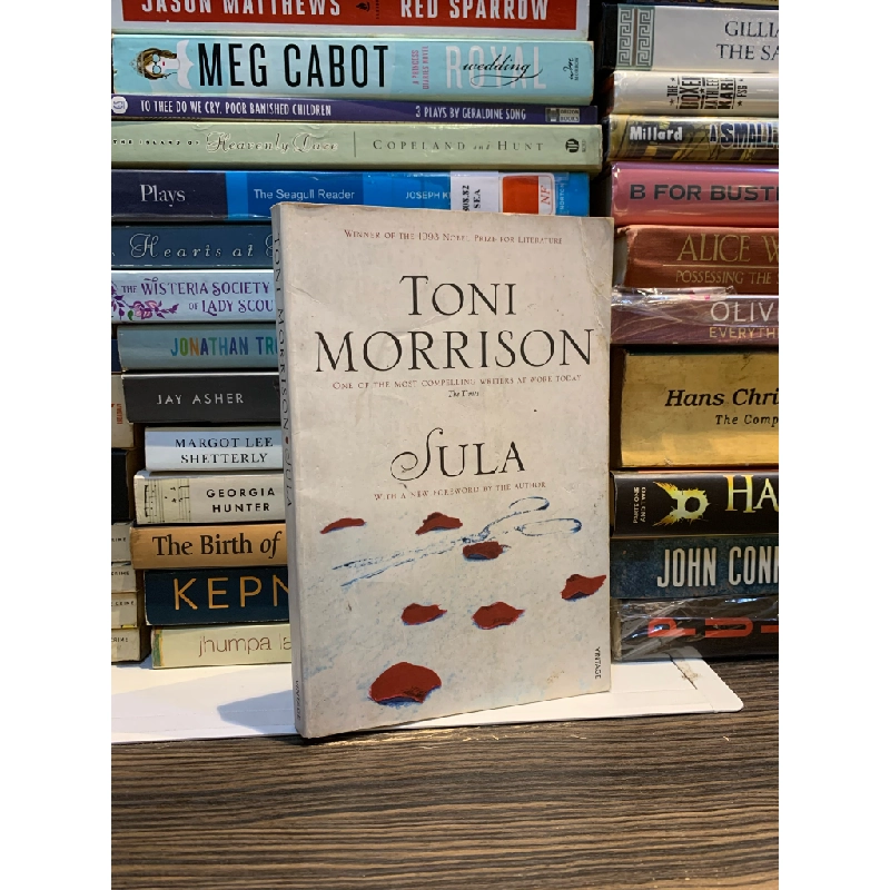 SULA - Toni Morrison 163725