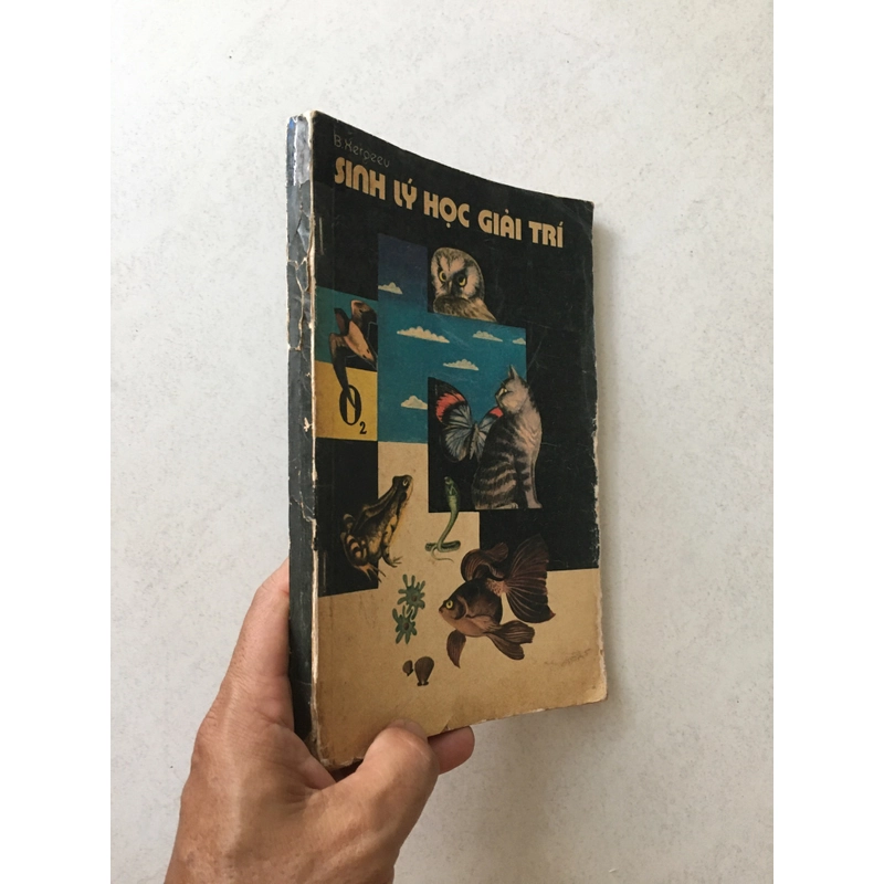 Sinh lý học giải trí - B. Kergeev 545489