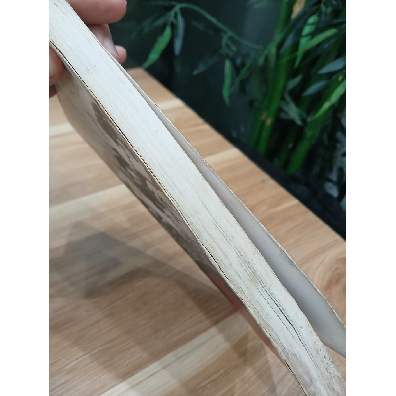 Đêm Trước Đổi Mới 548389