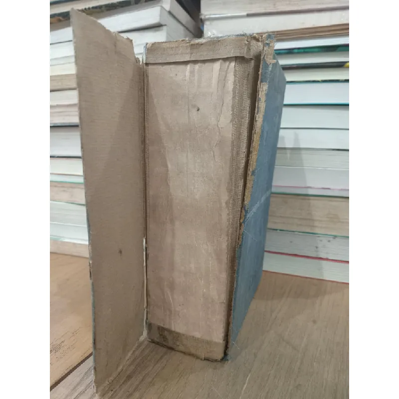 Dictionnaire moderne Francais-Anglais - Marguerite-Marie Dubois 714215