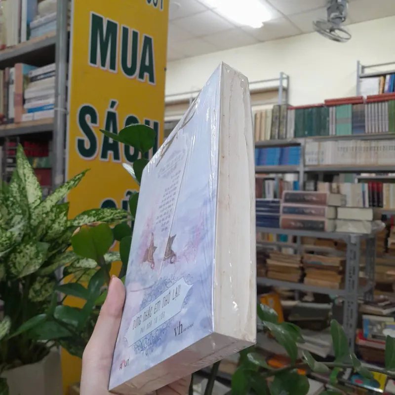 ĐỪNG NHẮC EM NHỚ LẠI - PHỈ NGÃ TƯ TỒN 996303