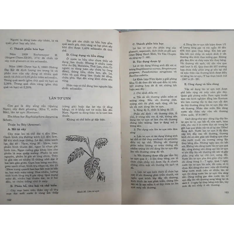 NHỮNG CÂY THUỐC VÀ VỊ THUỐC VIỆT NAM 682769