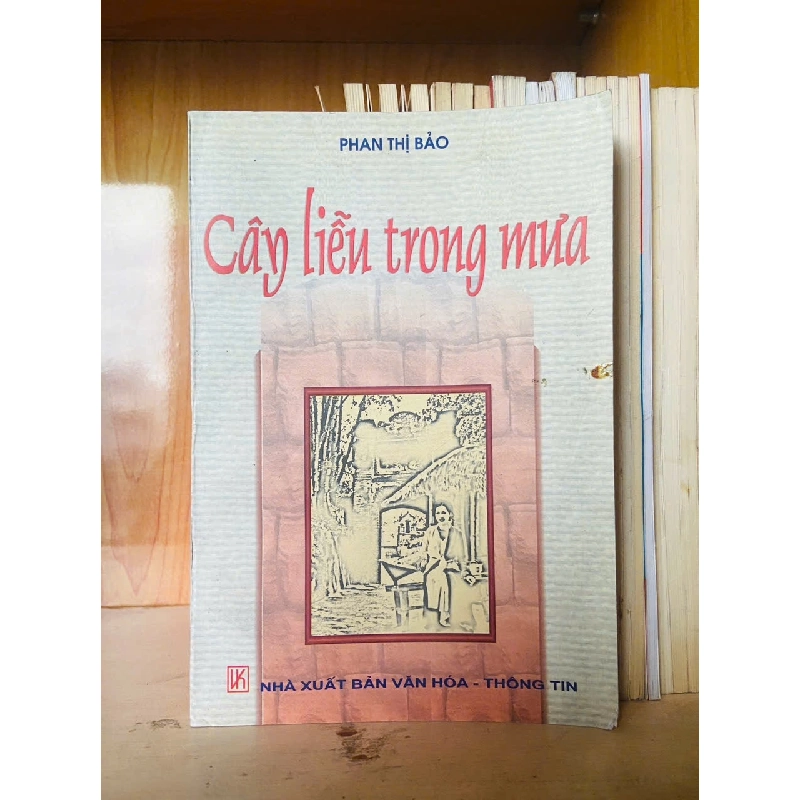 Cây liễu trong mưa - Phan Thị Bảo - VĂN HỌC - VAVO1211 Rebooks.vn 940844