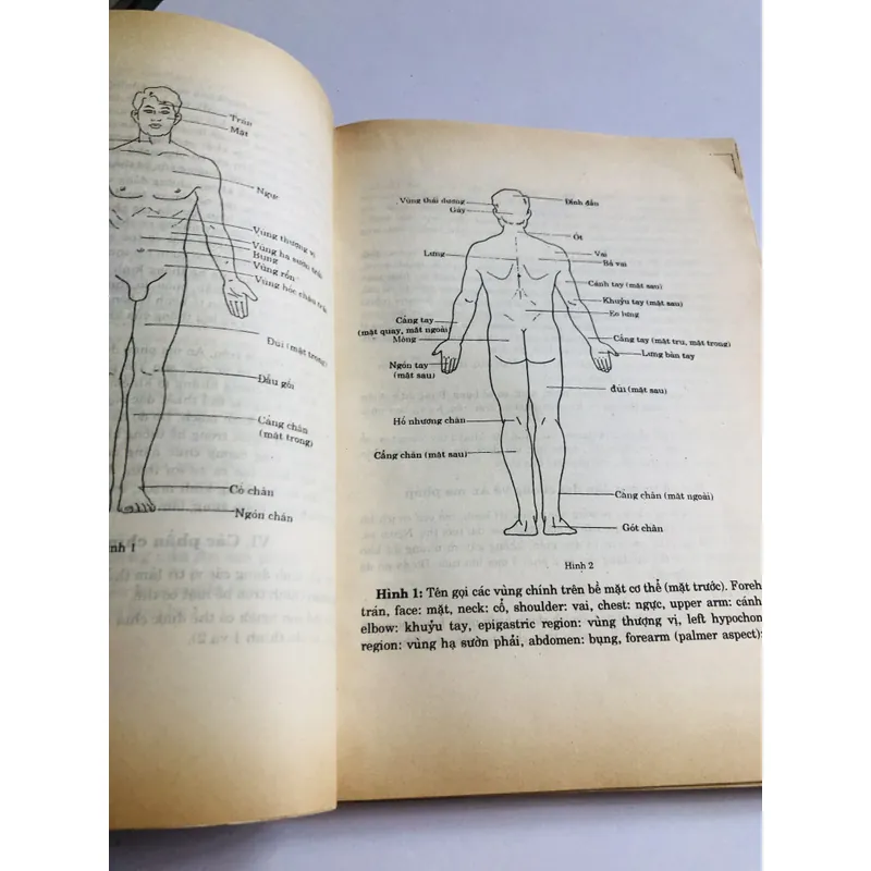 📚 KỸ THUẬT BẤM HUYỆT MASSAGE TRONG GIA ĐÌNH TRUNG QUỐC  714811