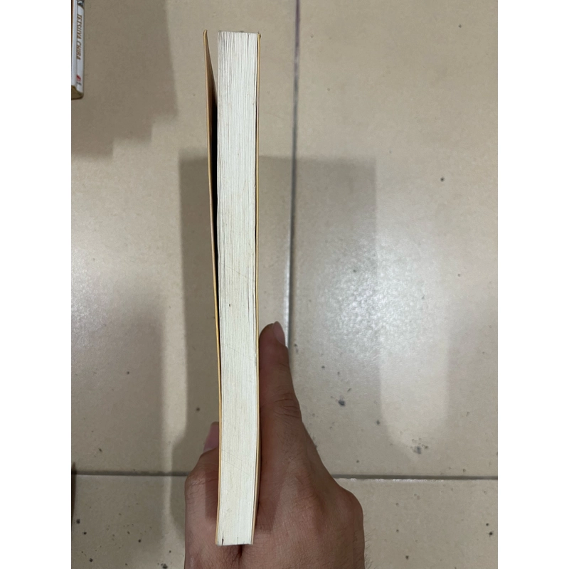 Hé gương cho người đọc - Đỗ Lai Thúy (7) 524953
