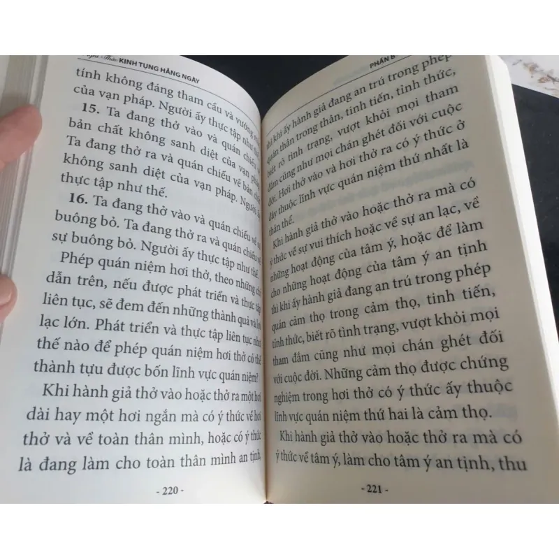 Nghi Thức Kinh Tụng Hàng Ngày - Thích Phước Tiến mới 90% 697558