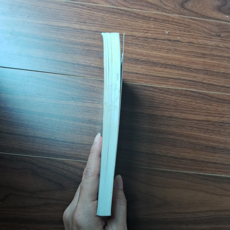Trong màn sương cuối mùa 505827
