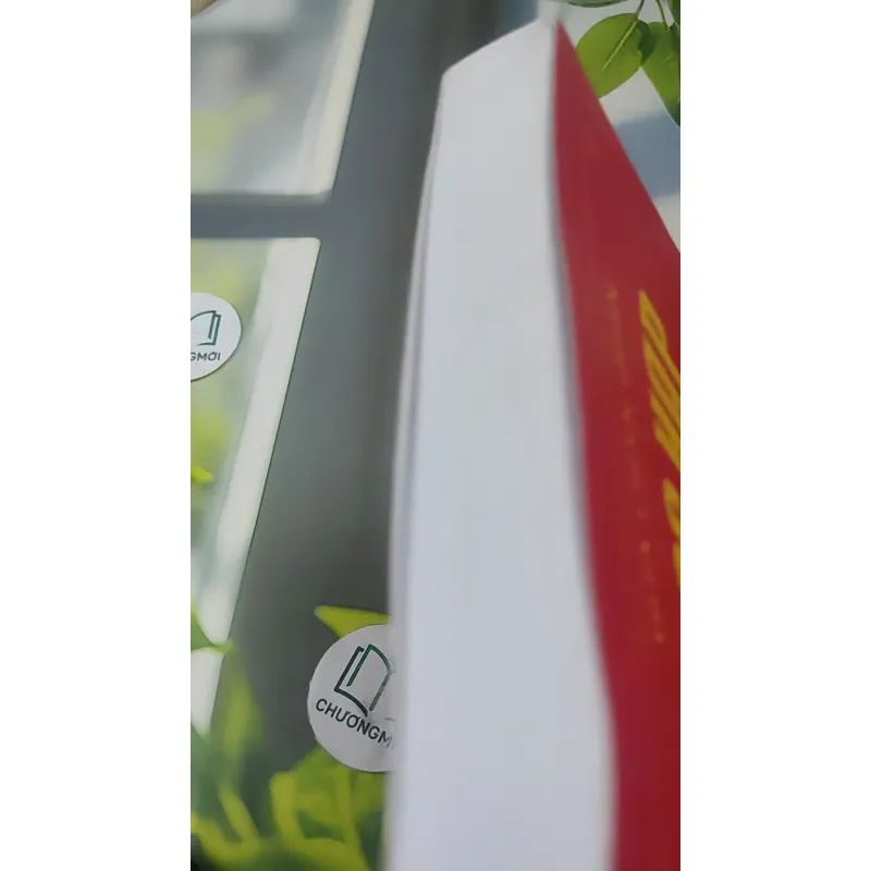 Ngọc Hạp Chánh Tông - Hứa Chân Quân 727381