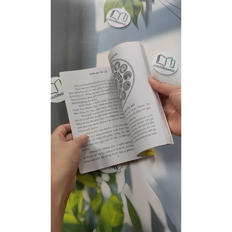 Cao Ly Đầu Hình 775958