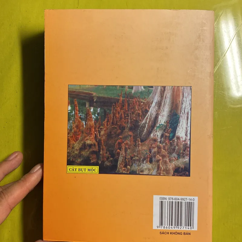 Lịch sử Đạo Phật Việt Nam - Biên soạn HT Đắc Huyền - Thích Như Phước Tú 638169