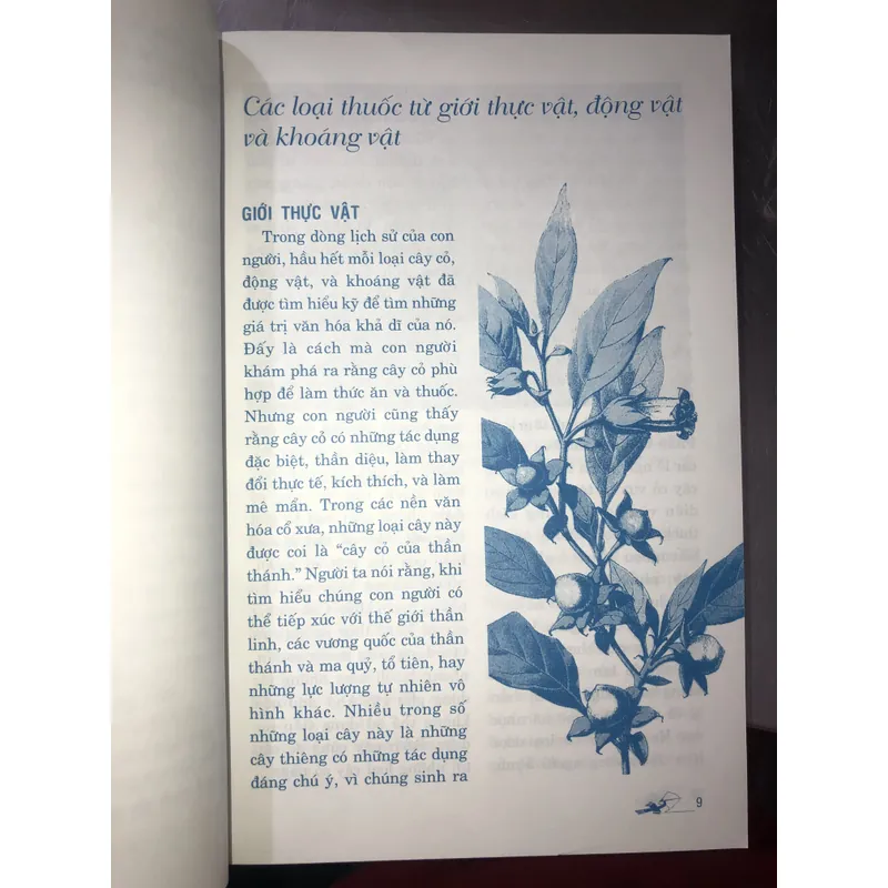 Thảo dược & tình yêu  714029