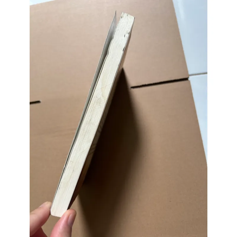 The Magic (ướt góc nhẹ) 687282