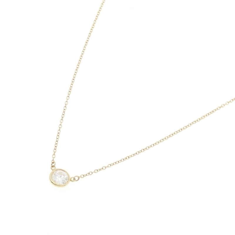 Dây chuyền Tiffany By The Yard - Hàng hiệu Authentic 843563