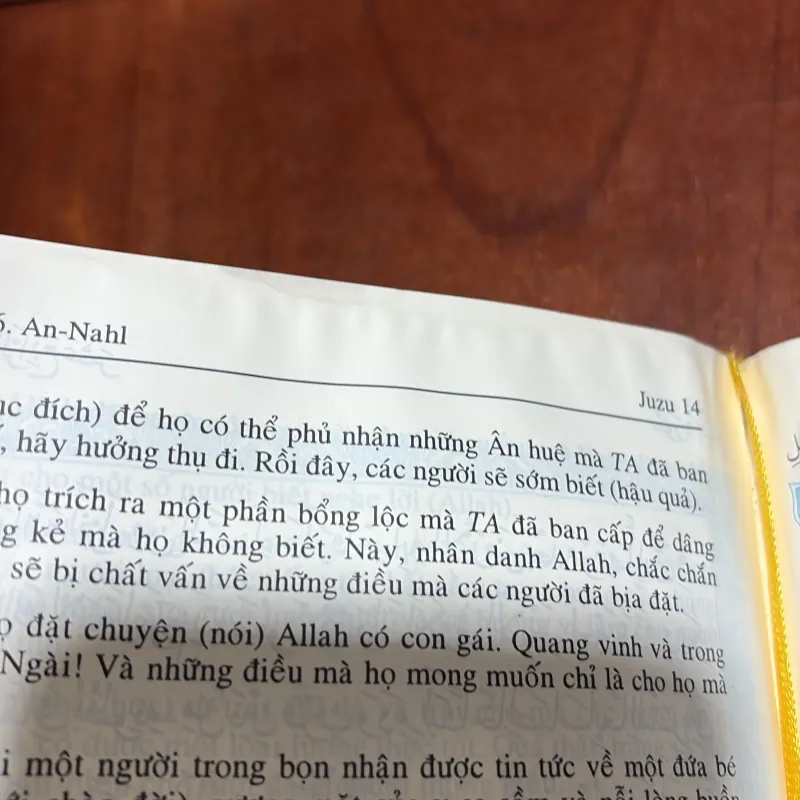 II Kinh Koran: Thiên Kinh Qur’an Và Bản Dịch Ý Nghĩa Nội Dung Bằng Việt Ngữ 792573