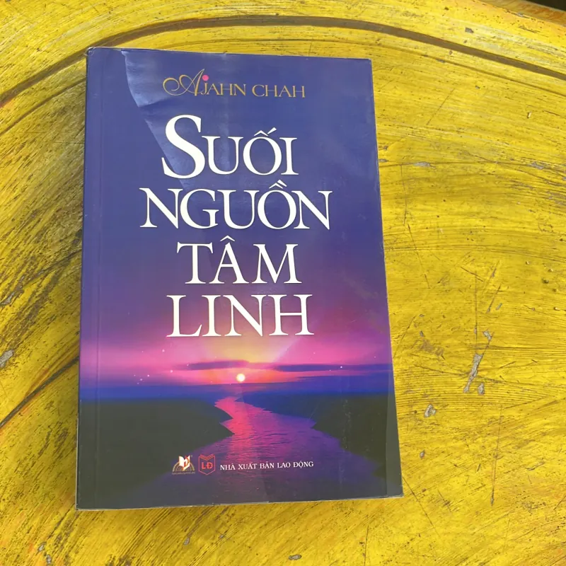COMBO CUỘC SỐNG NHIỆM MÀU- SUỐI NGUỒN TÂM KINH- TIỀN KIẾP CÓ HAY KHÔNG? 777943