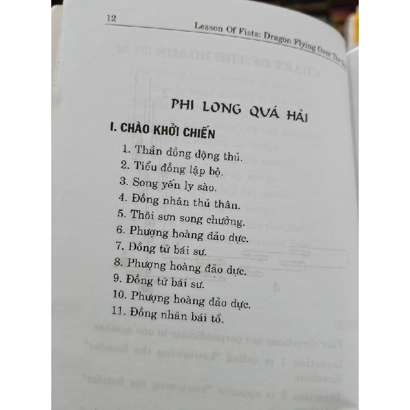 Bài quyền Phi Long Quá Hải - Nhut Phi Kim (Nhất Phi Kim) 497719
