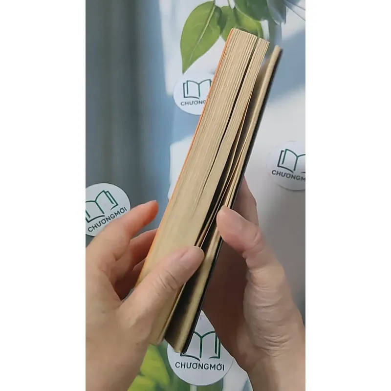 Trên đường băng - Tony Buổi Sáng 688509