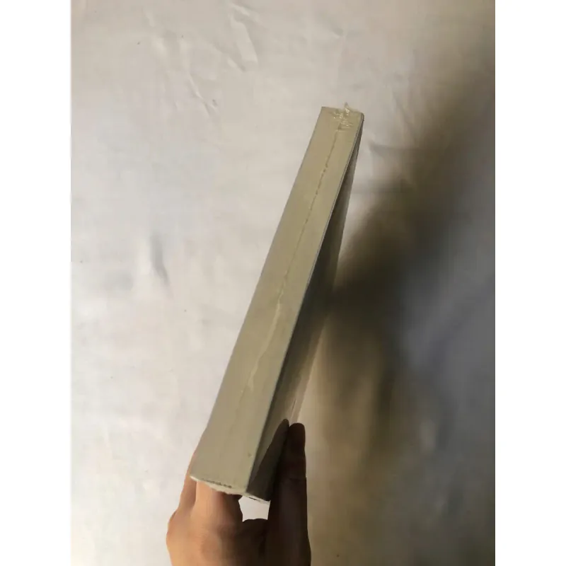 Lịch Sử Đô Thị Hiện Đại - Shane Ewen 970167