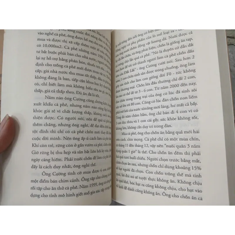 TÌM LẠI CON ĐƯỜNG TƠ LỤA TRÊN BIỂN ĐÔNG 695871