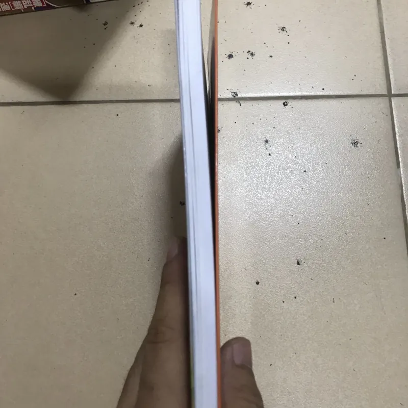 Khi Hồng Hạc Bay Về + Khi mặt trời lên  1028798