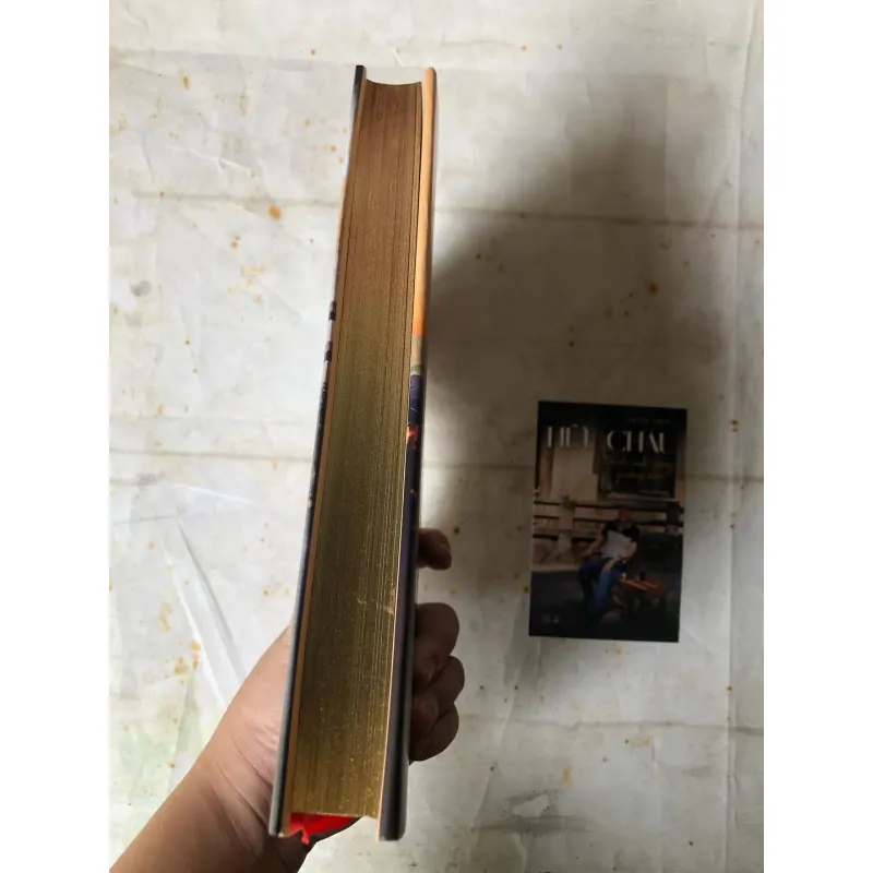 Hữu Châu Chiếc Nôi Vàng Giông Bão - Thanh Thuỷ (Bản đặc biệt bìa cứng, có chữ kí tác giả) 783094