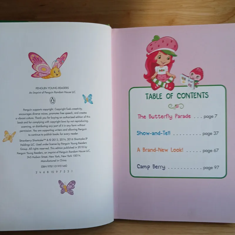 Strawberry Shortcake And Friends 696686