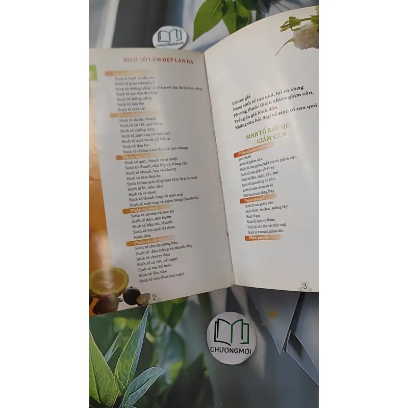 Sinh tố trái cây, rau quả làm đẹp - Dược Lan 1018807