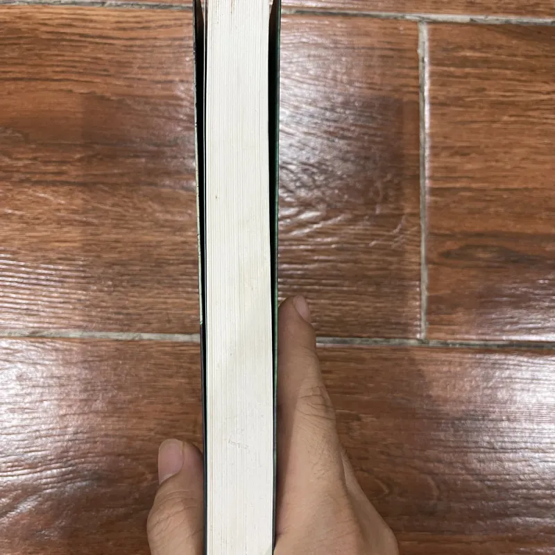 Cô gái trên tàu (15) 1029074