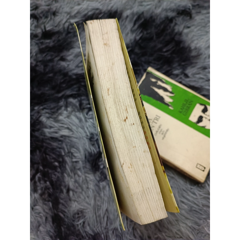 Bọn đạo chích (William Faulkner) 472802