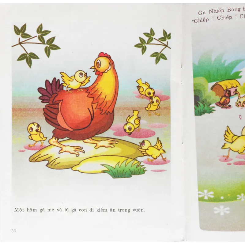 Chuyện xảy ra trong rừng 565920