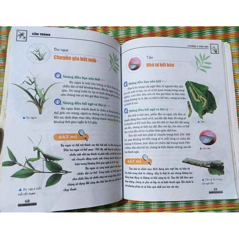 Khám Phá Bí Ẩn Thế Giới Tự Nhiên Dành Cho Học Sinh : Côn Trùng 475385