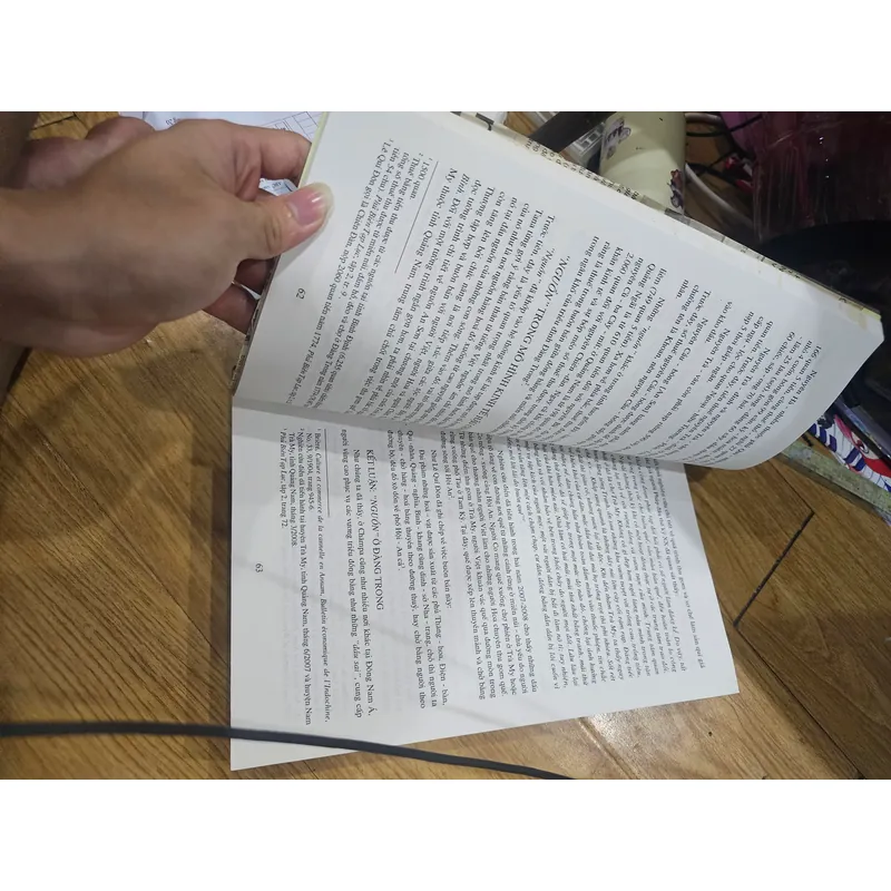 Chúa Nguyễn và vương triều Nguyễn trong lịch sử Việt Nam  (sách photo)
 691556