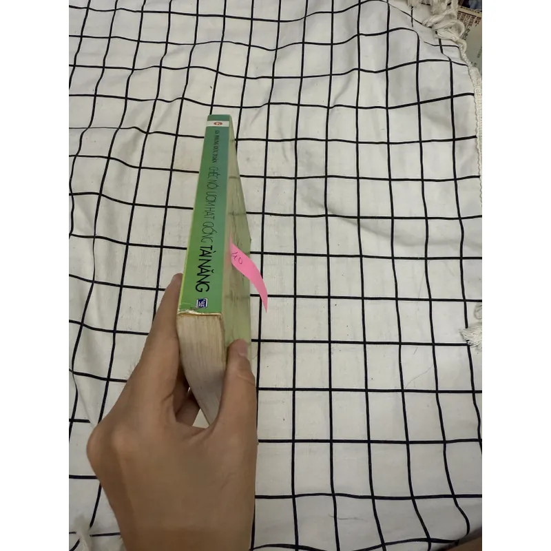 Chiếc nôi ươm hạt giống tài năng 596967