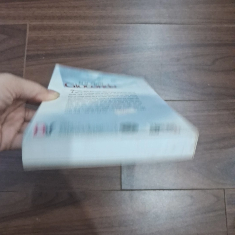 Nụ cười Gioconda 506160
