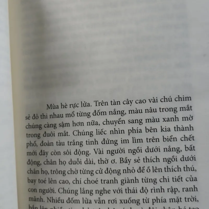 Tất cả đều giả dối, Tất cả đều mộng tưởng" của Nguyễn Thủy Hằng.   563737