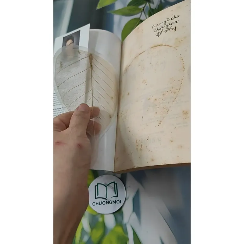 Tiêu Gì Cho Thời Gian Để Sống - Hoàng Việt Hằng 727247