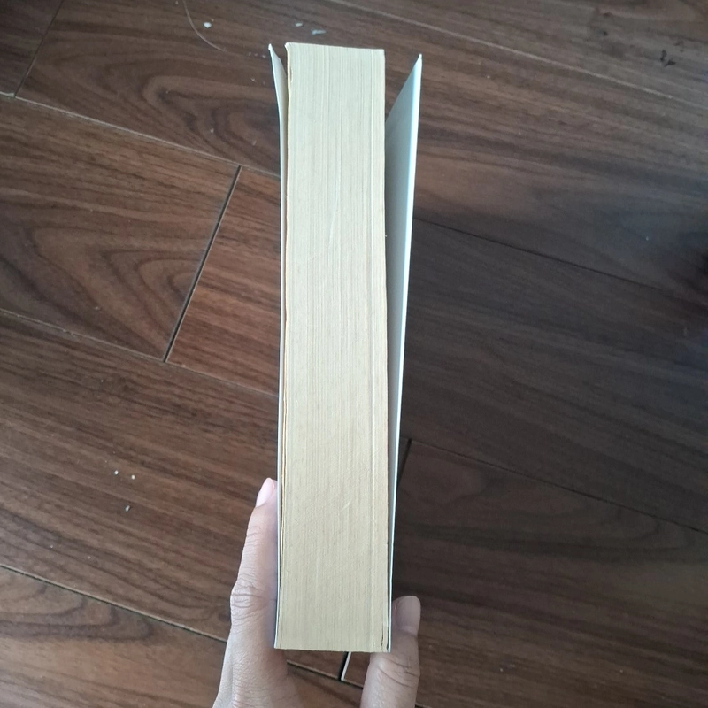 Trái tim màu hổ phách 509939