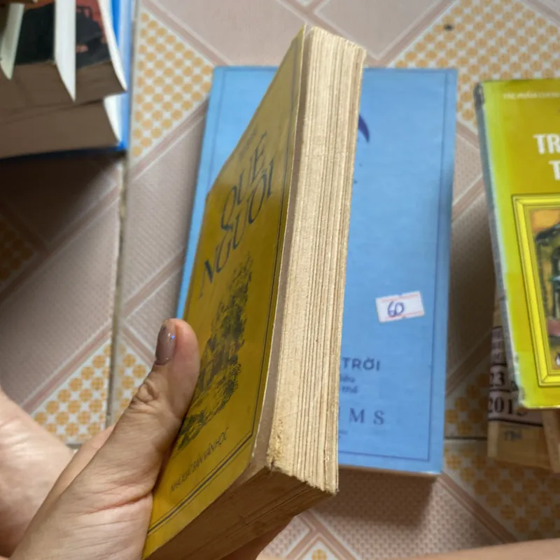 Quê Người Tô Hoài  592889