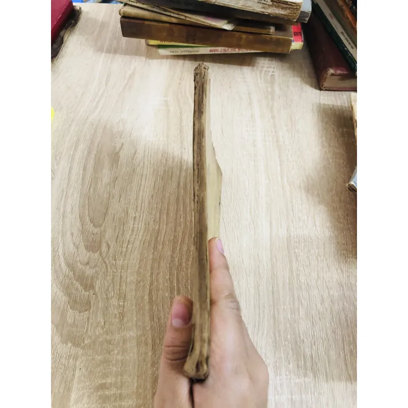 TỰ HỌC VIỆT NGỮ ( Việt Hoa Ngữ Đối Chiếu) 929150