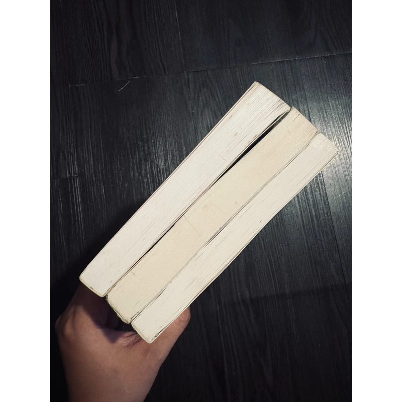 Combo 3 tác phẩm E. Remarque (sách mất áo) 447116