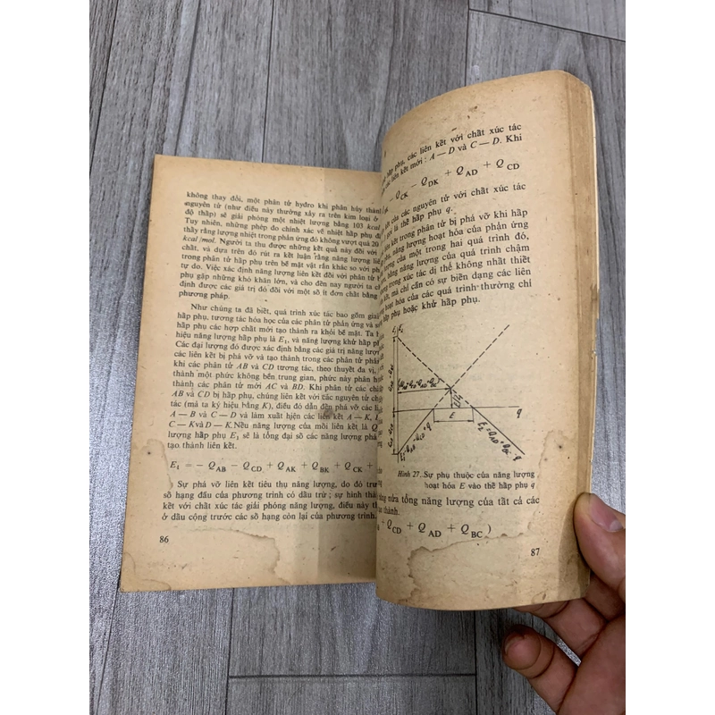 Cây đũa thần hoá học. 999 475992