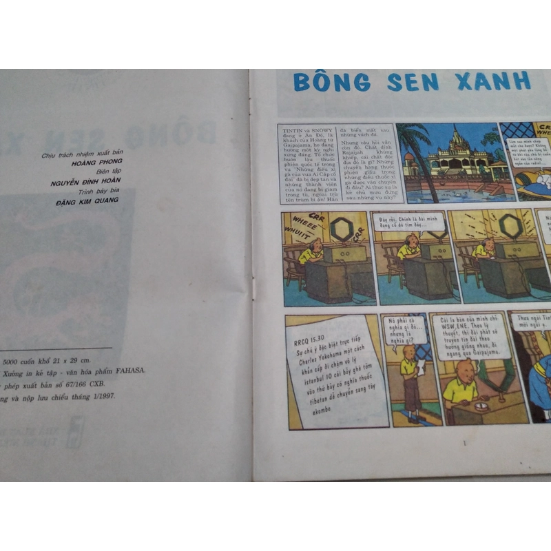 Tintin bông sen xanh 502833