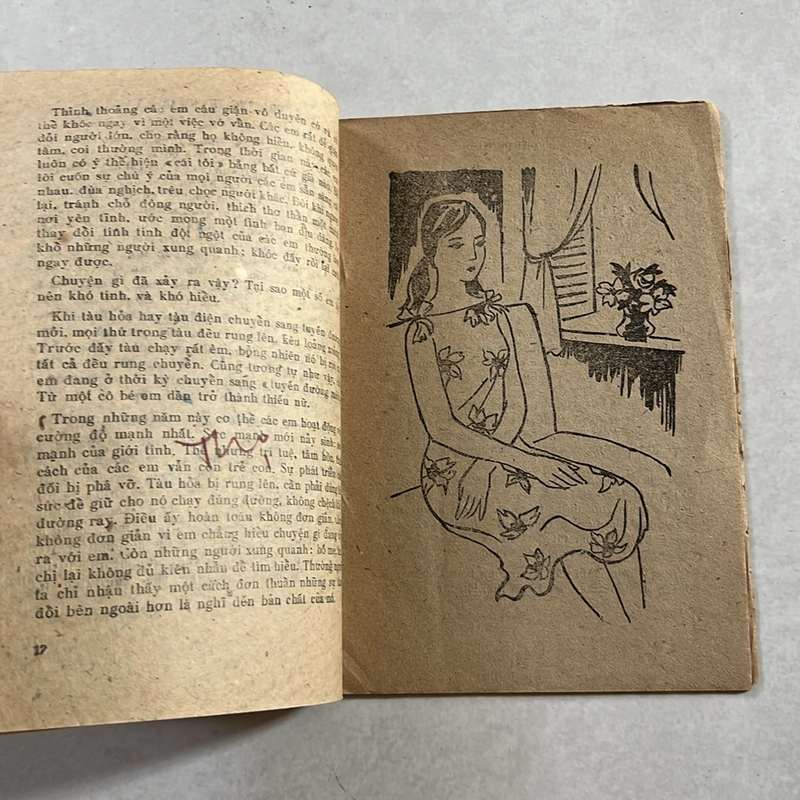 Tâm tình thiếu nữ — 1985s 497677