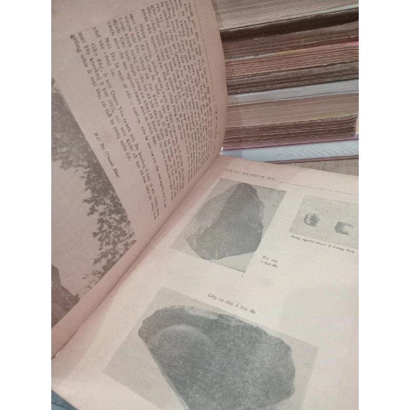 Lịch sử Việt Nam - Phan Huy Lê, Trần Quốc Vượng, Hà Văn Tấn, Lương Ninh 783616