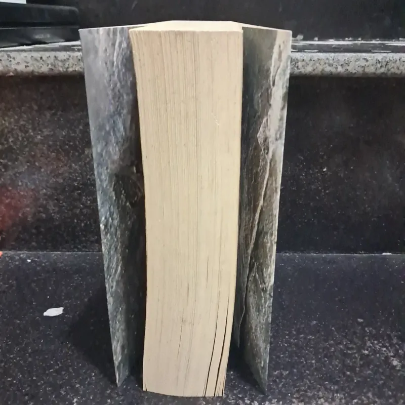 Người lữ hành lặng lẽ- Hữu Mai 1009398